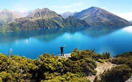 New Zealand  Splendors 