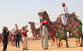 Regal Rajasthan