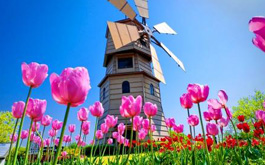 Jewels of Europe: A Glimpse of Timeless Treasures